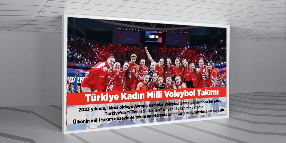 Voleybol Milli takımı posteri