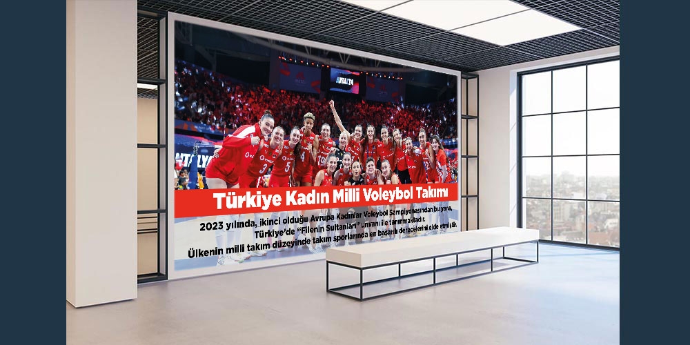 Voleybol Milli takımı posteri