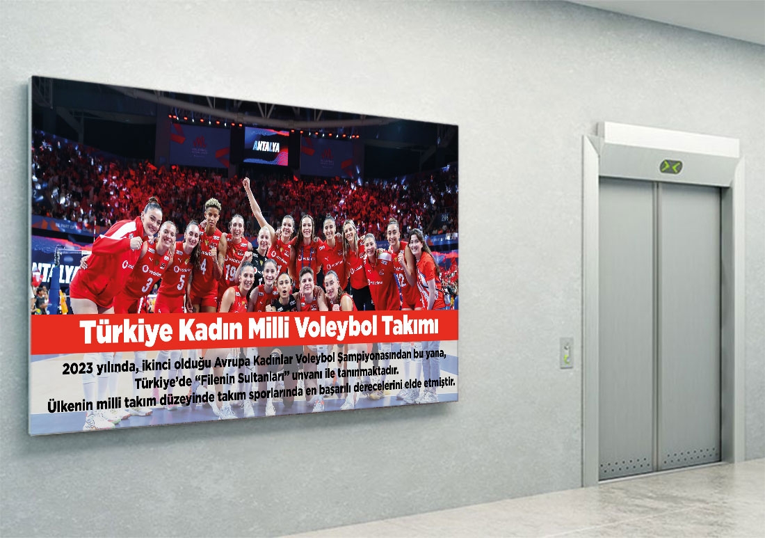 Voleybol Milli takımı posteri